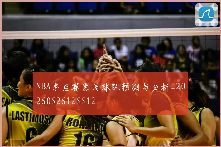 NBA季后赛黑马球队预测与分析_20260526125512