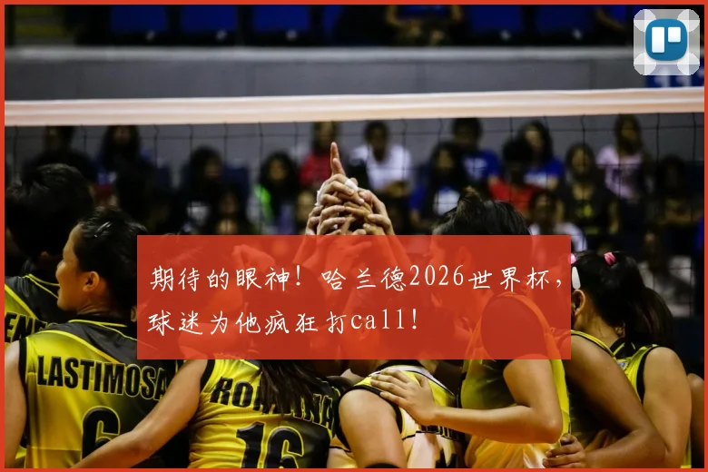 期待的眼神!哈兰德2026世界杯,球迷为他疯狂打call!