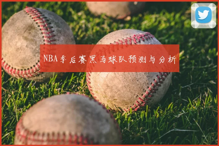 NBA季后赛黑马球队预测与分析
